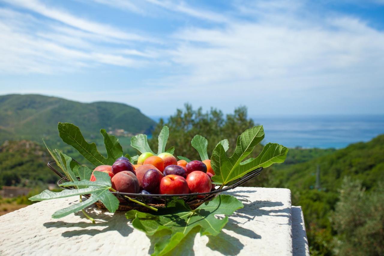 Eco Village Buljarica Budva Eksteriør bilde