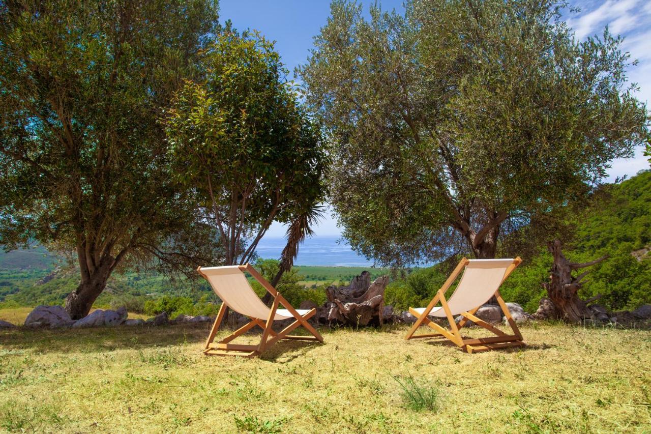 Eco Village Buljarica Budva Eksteriør bilde